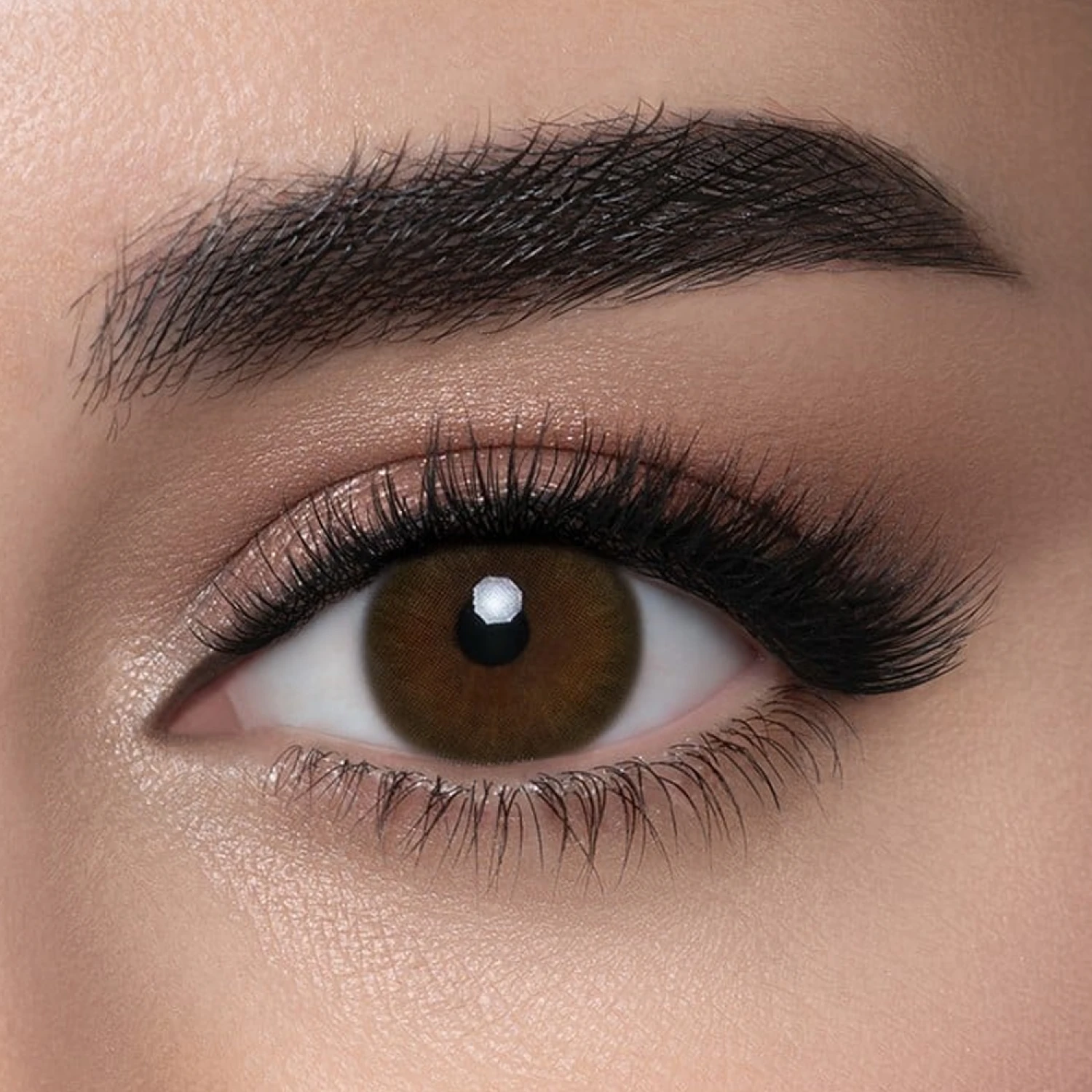 لنس مي عدسات ملونة - لابيلا