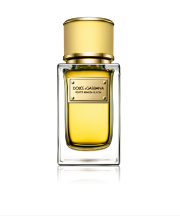 دولتشي آند غابانا فيلفت ميموسا بلوم